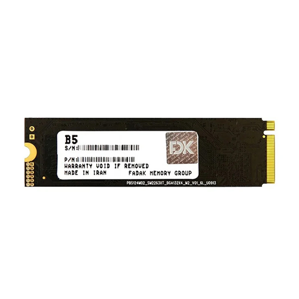 حافظه اس اس دی فدک FDK مدل B5 SEREIS 256GB M.2